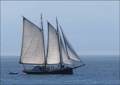 Merrie Ellen