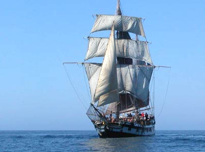 Hawaiian Chieftain